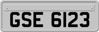 GSE6123