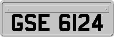 GSE6124