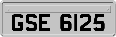 GSE6125