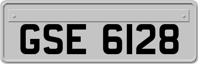 GSE6128