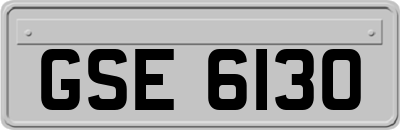 GSE6130