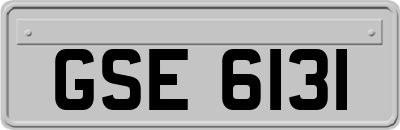 GSE6131