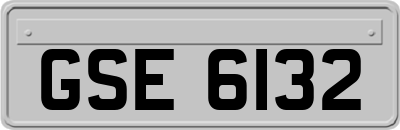 GSE6132