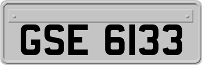 GSE6133