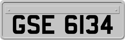GSE6134
