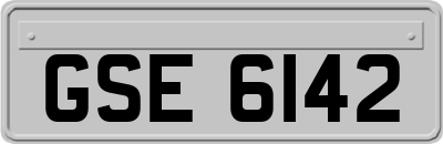 GSE6142