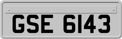 GSE6143