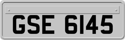 GSE6145