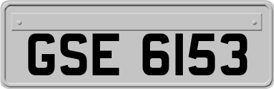 GSE6153