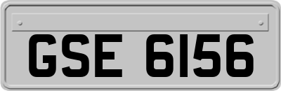 GSE6156