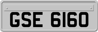 GSE6160