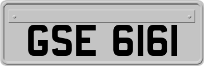 GSE6161