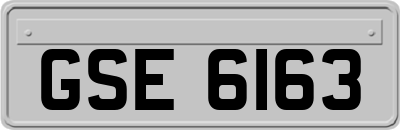 GSE6163