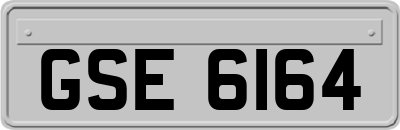 GSE6164