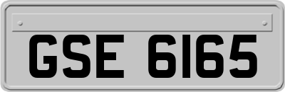 GSE6165
