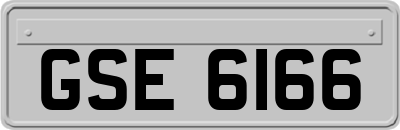 GSE6166