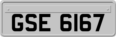 GSE6167