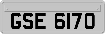GSE6170
