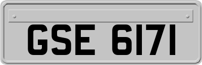 GSE6171