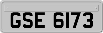 GSE6173