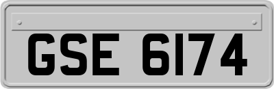 GSE6174
