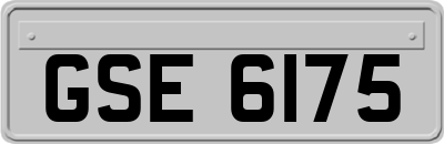 GSE6175