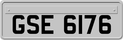 GSE6176