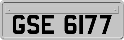 GSE6177