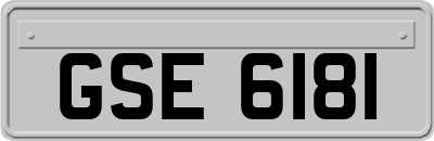 GSE6181