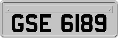 GSE6189