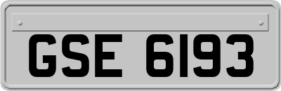 GSE6193