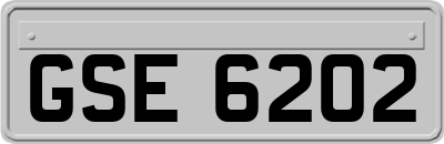 GSE6202
