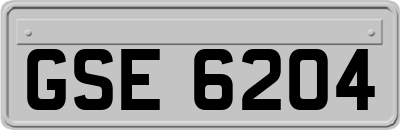 GSE6204