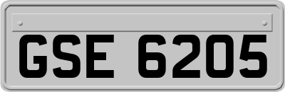 GSE6205