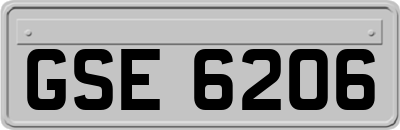 GSE6206