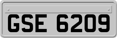 GSE6209