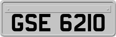 GSE6210