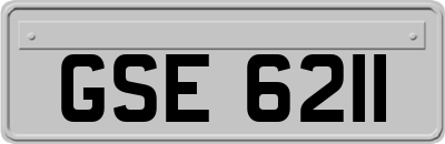 GSE6211