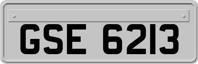 GSE6213
