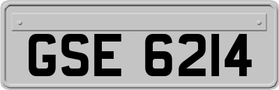 GSE6214