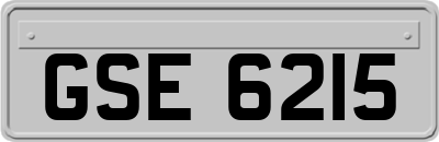 GSE6215