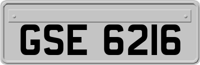 GSE6216