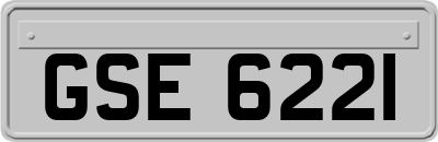 GSE6221