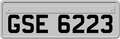 GSE6223