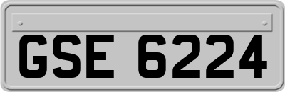 GSE6224