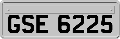GSE6225