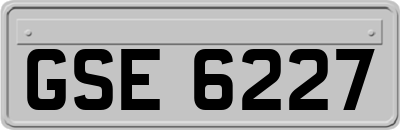 GSE6227