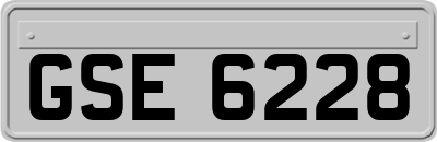 GSE6228