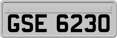GSE6230
