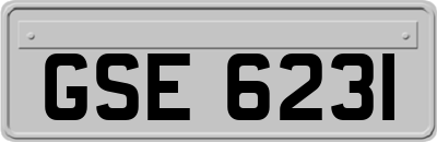 GSE6231